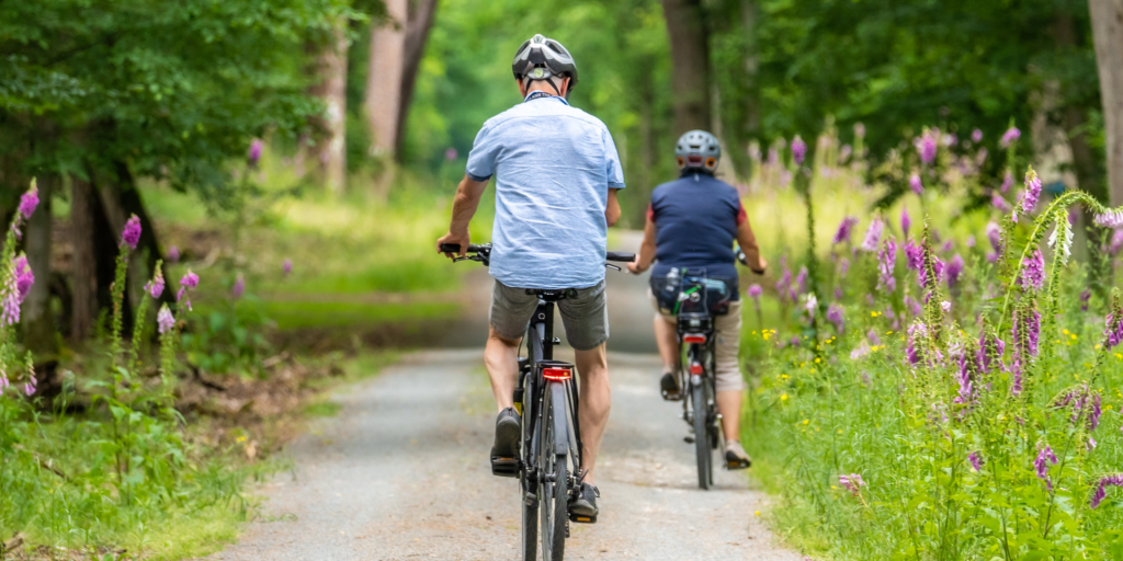 fietsen huren op Ameland