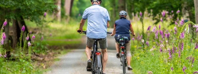 fietsen huren op Ameland